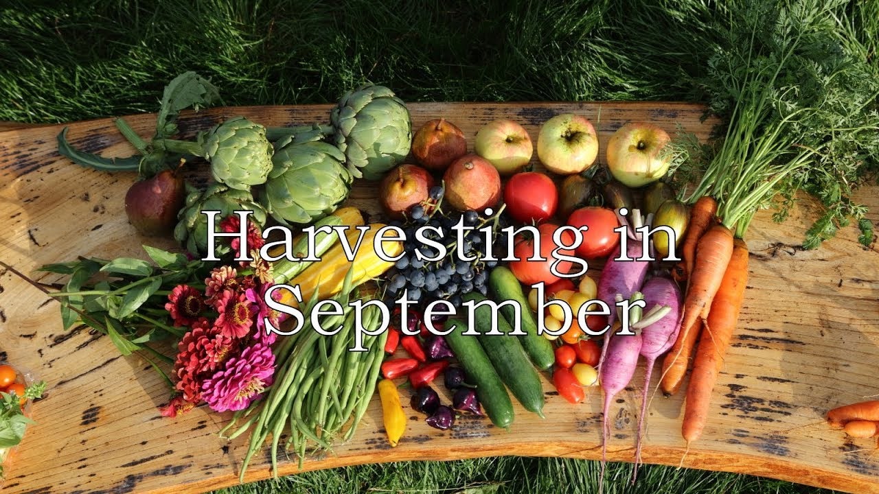 Harvesting